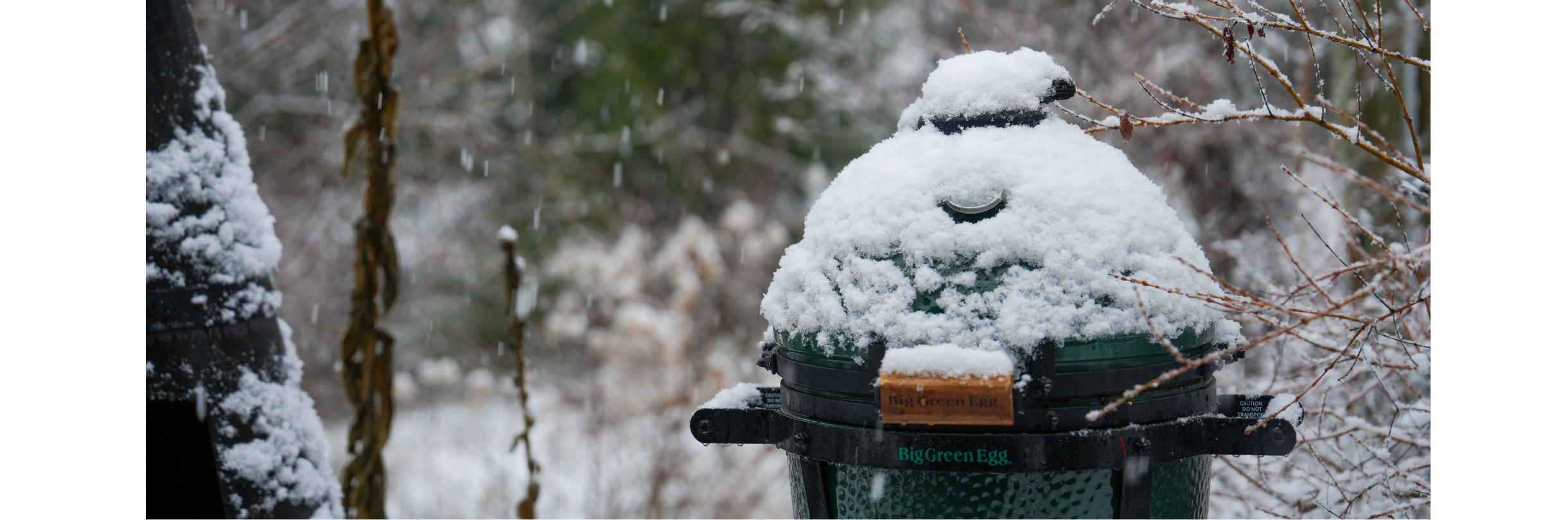 Ethical Table + Big Green Egg | Wild Venison in White Lakes, British Columbia