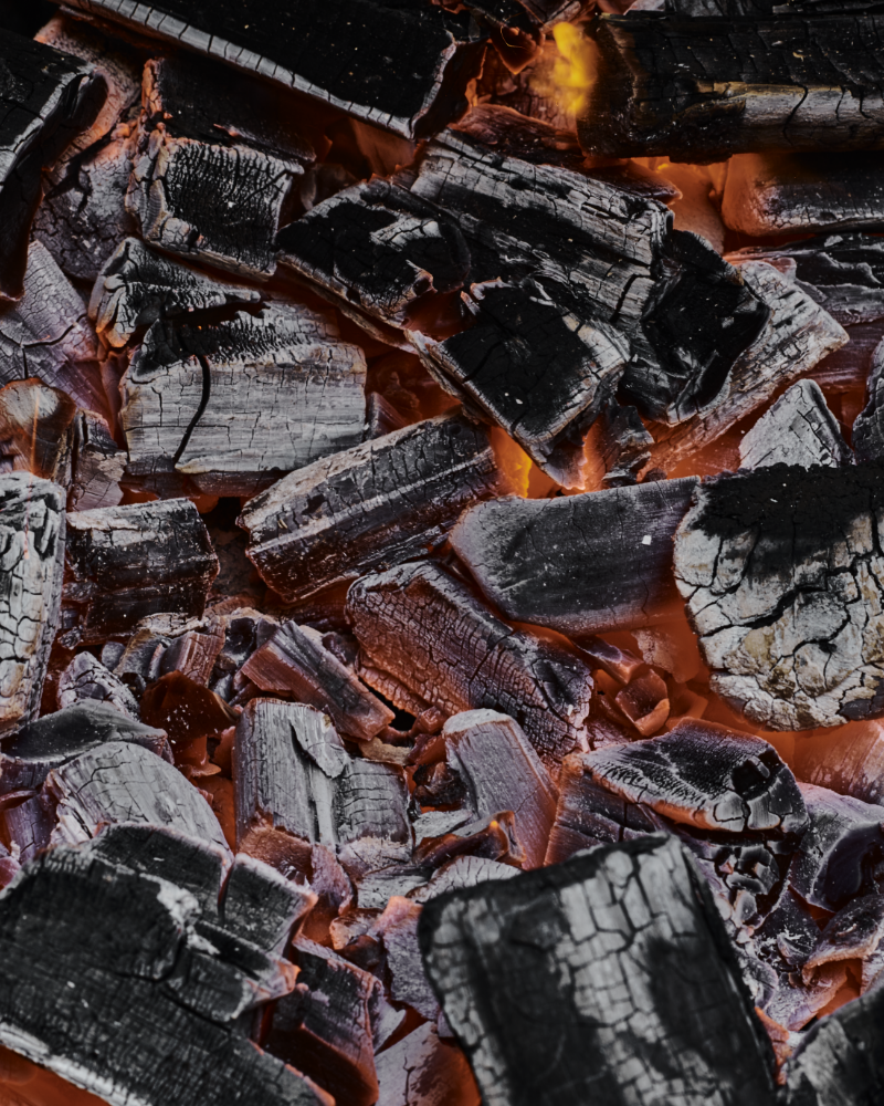 How to Reuse Charcoal - Image