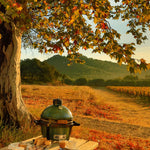 Outdoor setting with a grill and coffee on a wooden table under a tree with autumn leaves, vineyard in the background.