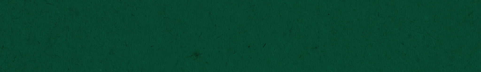 Solid teal color swatch