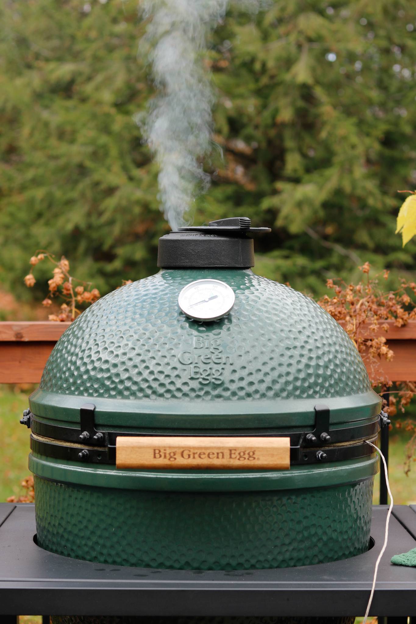 Green Egg ceramic kamado grill with smoke rising from it outdoors