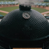 Closed Egg with view of field