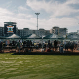 View on the field