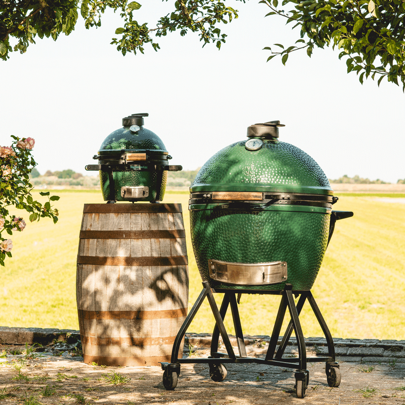 Big Green Egg Sizes Find the Perfect Egg for Your Needs