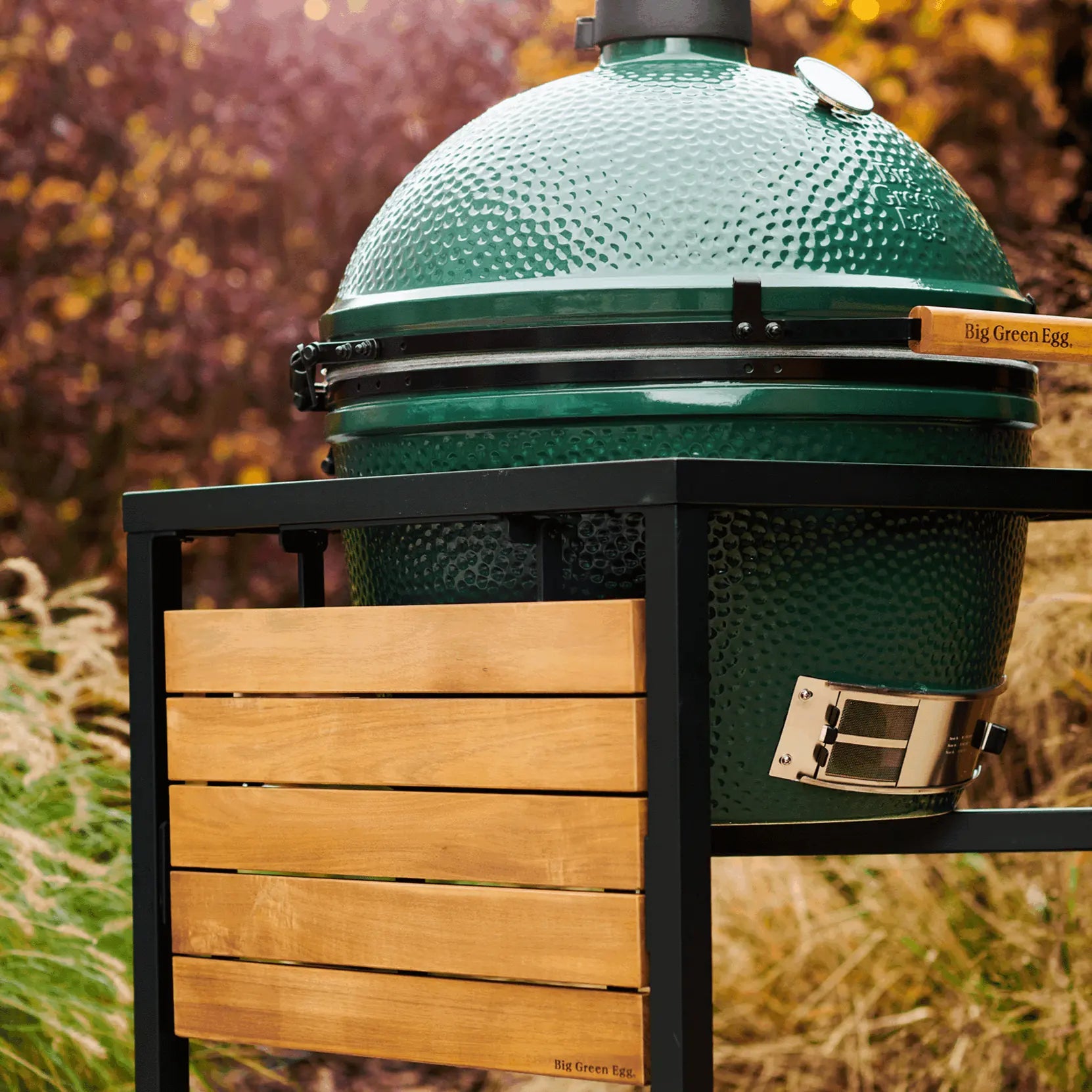 Big Green Egg ceramic kamado barbecue grill on a stand with a natural outdoor background