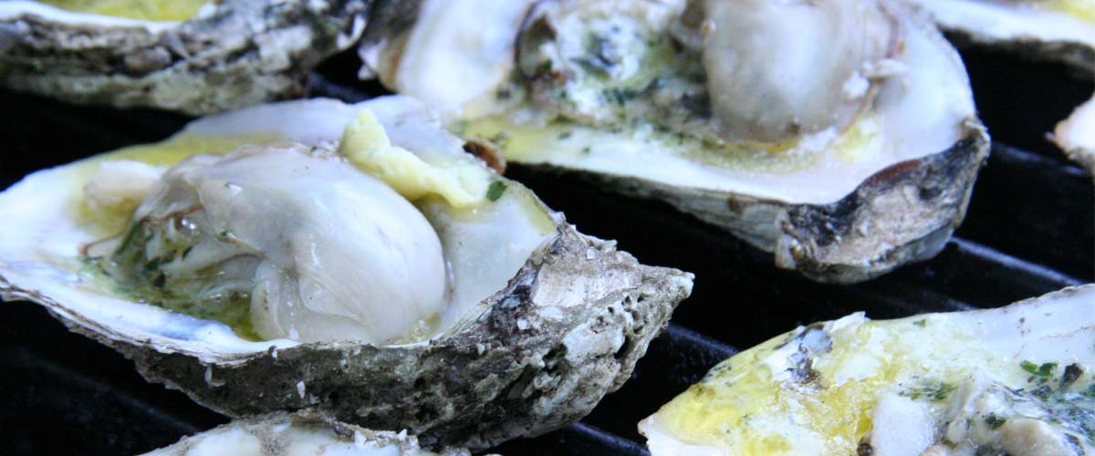 Grilled Oysters with Banner Butter on the Big Green Egg